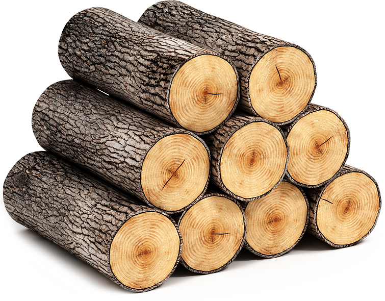 buches de bois ramoneur du Born